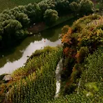 Casa de Campo Bio-weingut Staffelter Hof