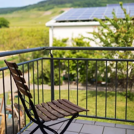 Country house Bio-weingut Staffelter Hof *