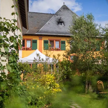 Bio-weingut Staffelter Hof Krov