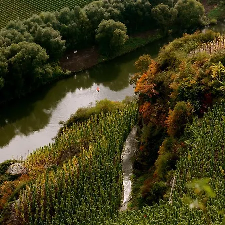 Country house Bio-weingut Staffelter Hof
