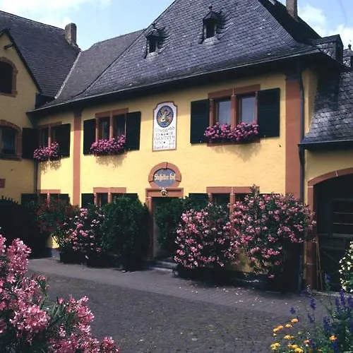 Bio-weingut Staffelter Hof