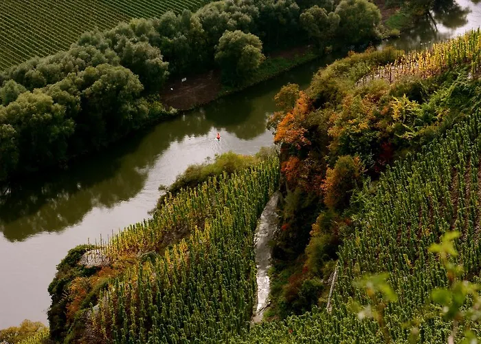 カントリーハウス Bio-weingut Staffelter Hof