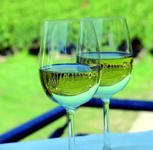 Bio-weingut Staffelter Hof *